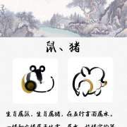 讯字五行属什么