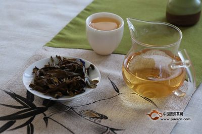 普洱茶怎样喝