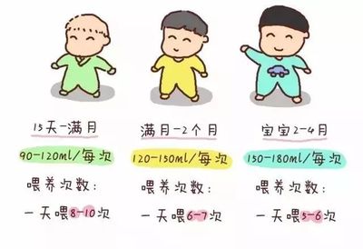 一岁宝宝一天的奶量