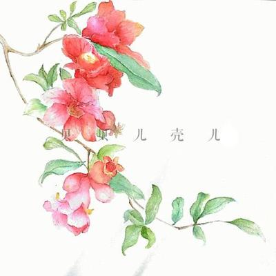 幼儿石榴花简笔画