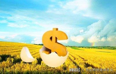 农村信用社能贷款吗