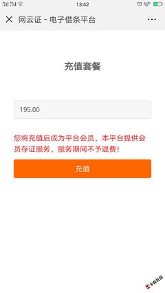 电子借条平台