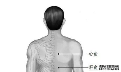 后背脊柱两侧发痘痘
