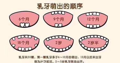 新生儿出牙顺序