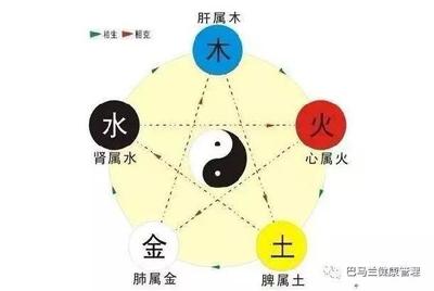 饮食行业五行属什么