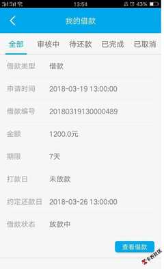 借款不查征信