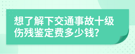 十级伤残鉴定费3000