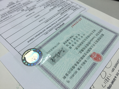 外国人无犯罪记录证明
