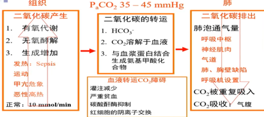 二氧化碳高是怎么回事