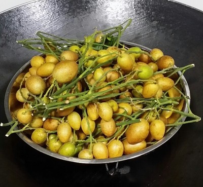 黄皮果焖鸡的制作方法