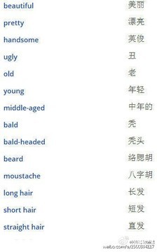 moustache怎么记忆