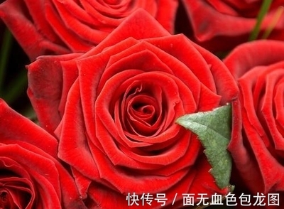 属虎和属羊的合不合财