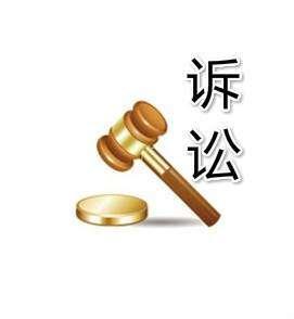 诉讼期间