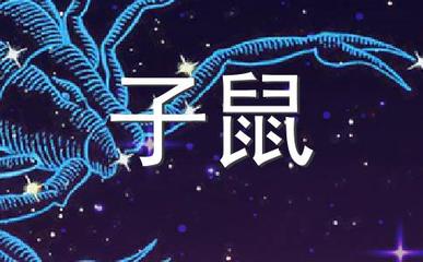 十月寒冬是什么生肖