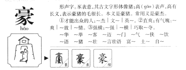 豪的五行属什么