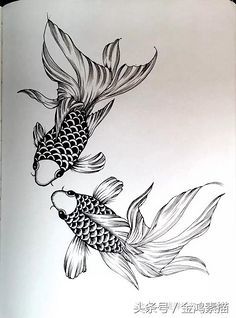 黑白装饰画鱼