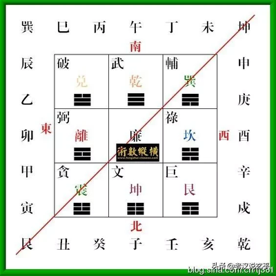 武字五行属什么