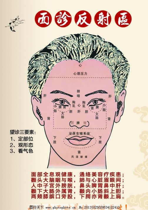 痘痘反射区