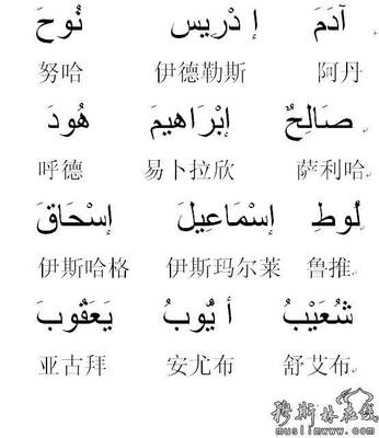 回族名字大全
