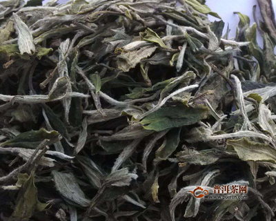 寿眉是白茶吗