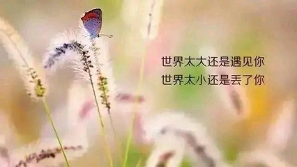 夏是什么生肖