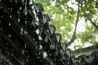 做梦狂风暴雨