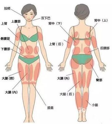 上臂吸脂减肥的价格
