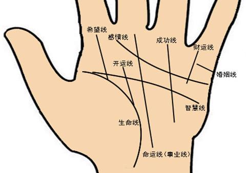 男手相婚姻线大全图解