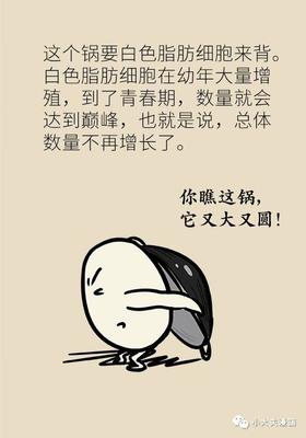 青春期减肥方法