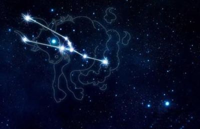喜欢孤独的星座