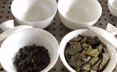 1725铁观音