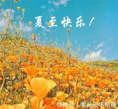 今年三伏共多少天
