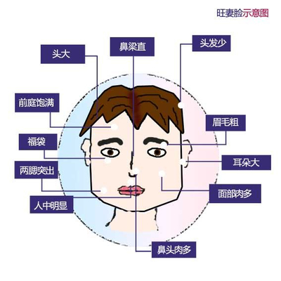 头大面相