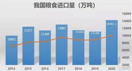 2020年我国粮食还要靠进口吗