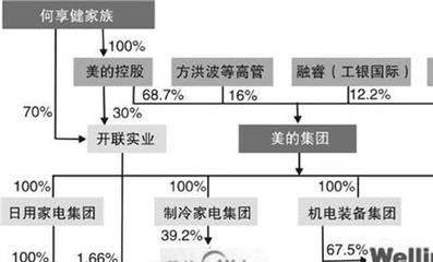 大股东损害小股东利益