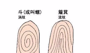 手指十个斗的男人命运