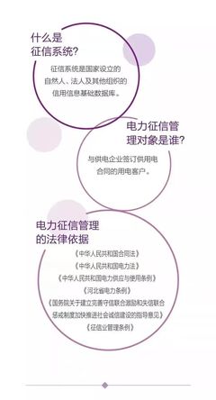 自然法人是什么意思