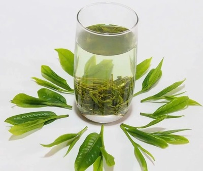 什么茶美白效果最好