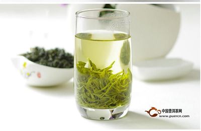 什么茶美白效果最好