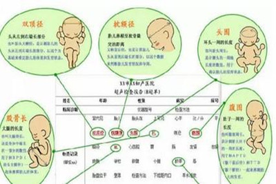 怀孕28周胎儿多大