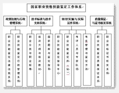 误工期鉴定标准