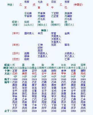 女命伤官格什么意思