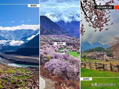 林芝桃花行程攻略