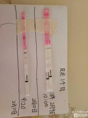 怀孕抽血需要空腹么