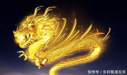 属猪的跟属龙的相配吗