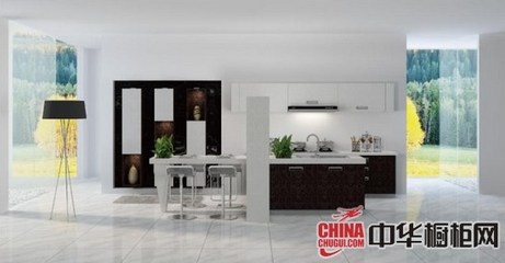 2012中国橱柜十佳品牌