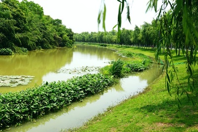 南昌湿地公园