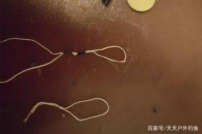 鱼线制作方法