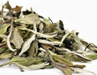 什么的茶叶
