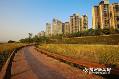 乌龙江湿地公园